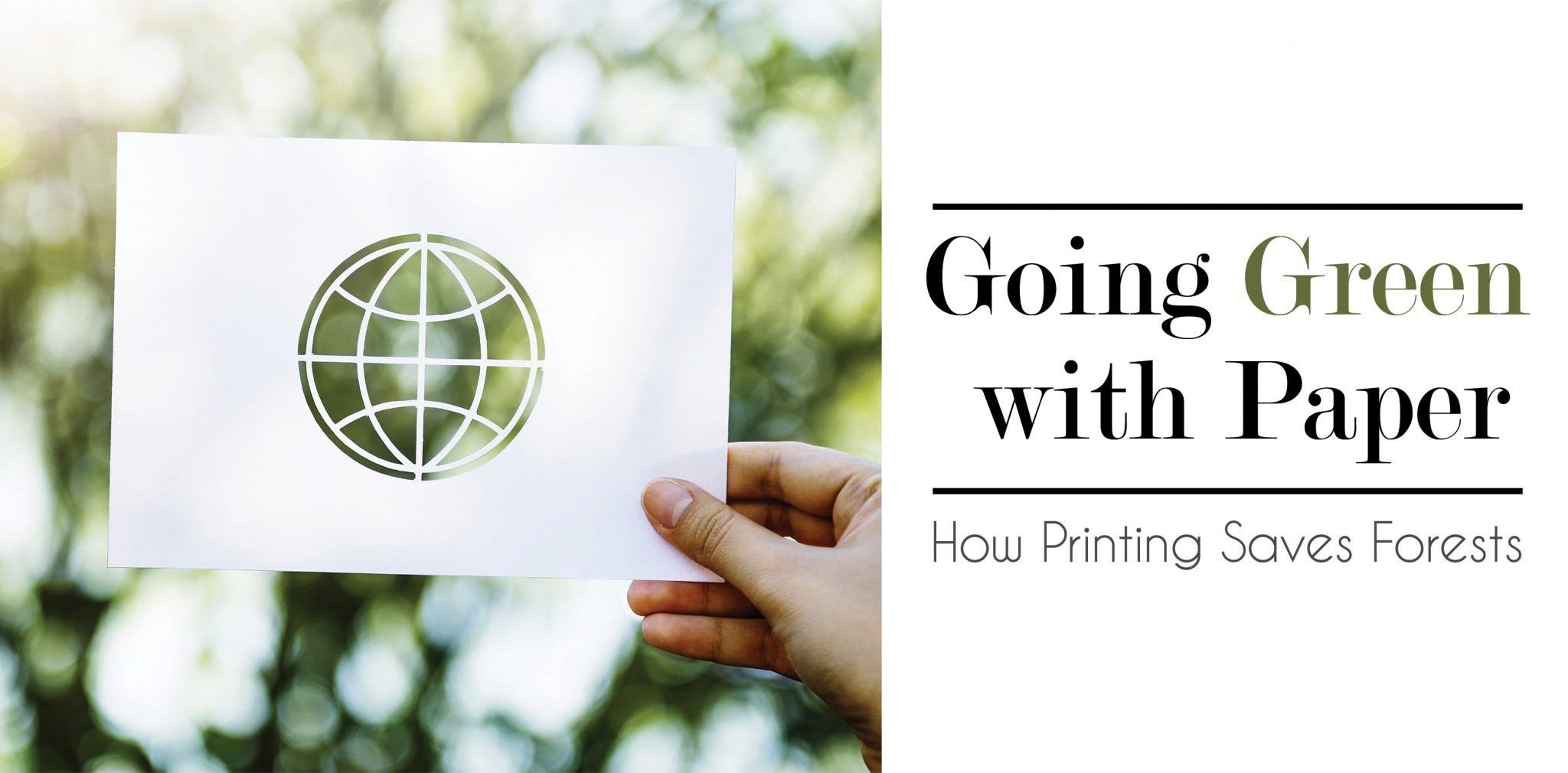 Going Green with Paper: How Printing Saves Forests