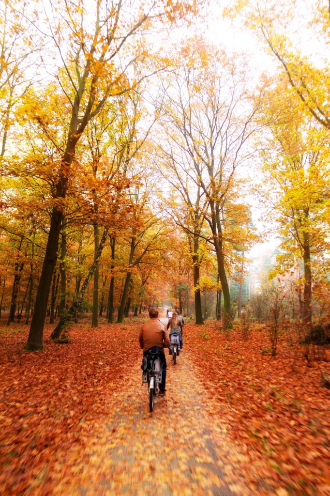 biking through autumn leaves