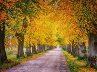 Environmentally Friendly Printing is the Future