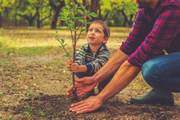 Father and son planting tree in a forest. Family forests are crucial for environmentally friendly printing.